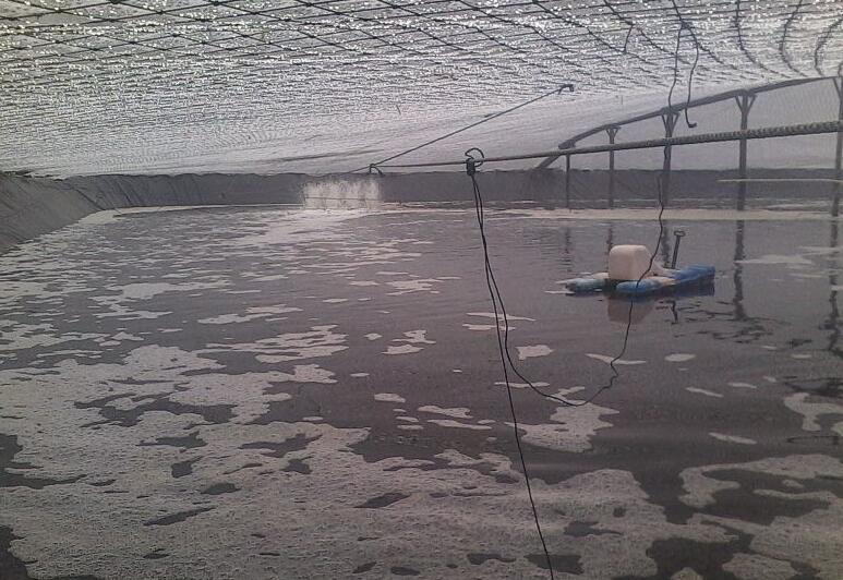 魚(yú)塘修建土工膜和混凝土哪種方法更可靠？